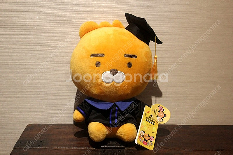 카카오프렌즈 새상품 라이언 졸업식 라이언인형 리틀라이언 리틀프렌즈 인형 곰인형 테디베어 곰돌이인형 애착인형 졸업선물...--0